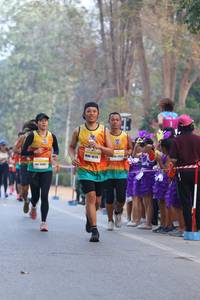BIB: 061
                            <button type="button" onclick="openModal(10411165)" class="btn btn-primary btn-sm float-right btn-popup" data-toggle="modal" data-target=".modal-high-quality">
                        <i class="fas fa-shopping-cart"></i> Add to Cart
                    </button>
                                            <button type="button" onclick="isThisMe(10411165, true)" class="btn btn-success btn-sm float-right btn-popup btn-isme hidden" data-toggle="tooltip" data-placement="bottom" title="นี่คือรูปของคุณใช่ไหม คลิกที่นี่เพื่อเอาเข้าอัลบั้ม">
                        <i class="fas fa-plus"></i> Add to album
                    </button>
                    <button type="button" onclick="isThisMe(10411165, false)" class="btn btn-warning btn-sm float-right btn-popup btn-isnotme hidden">
                        <i class="fas fa-ban"></i> Remove from album
                    </button>